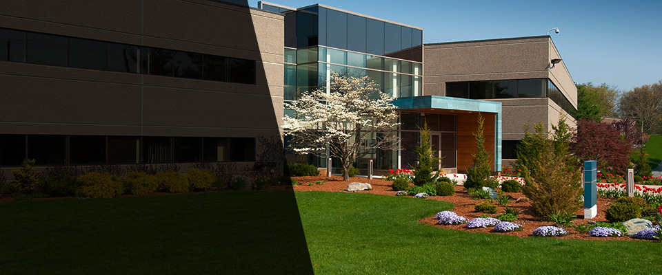 Olathe Landscapers