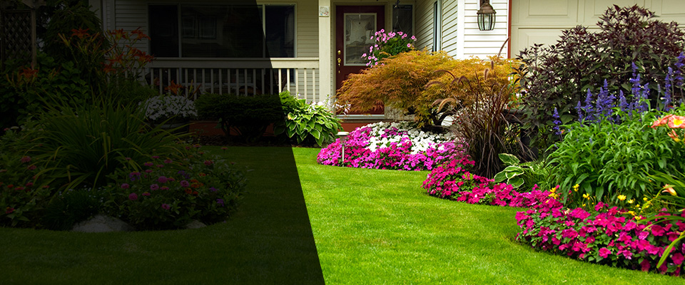 Olathe Landscapers