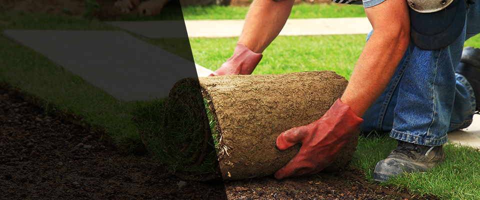 Olathe Landscapers
